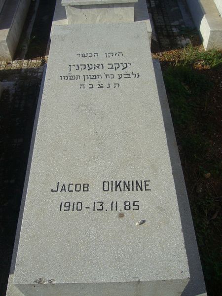 מַצֵּבה פון OIKNINE Jacob