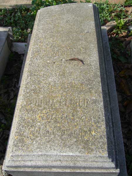 Stèle de ELBILIA Freha