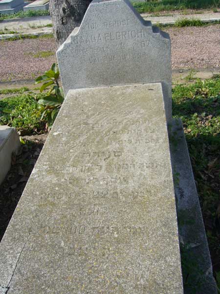 Grafsteen van ELGRICHI Saada