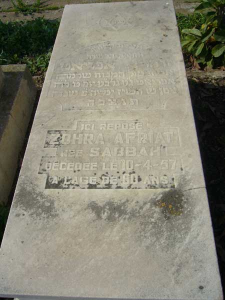 מצבת AFRIAT Zohra