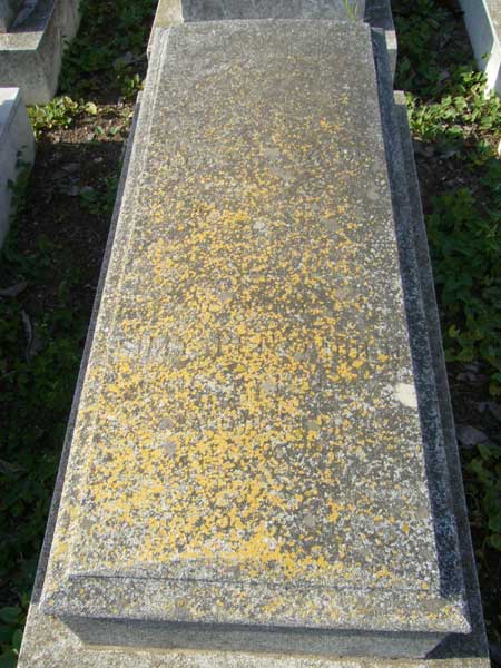 Grabstein von BENZAQUEN Simy