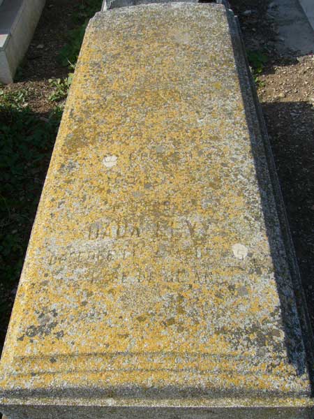 Tombstone of LEVY Dada