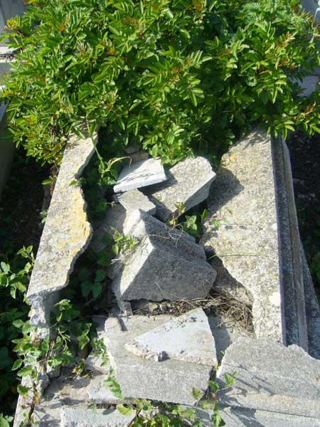 Grabstein von BENHAMOU Alia