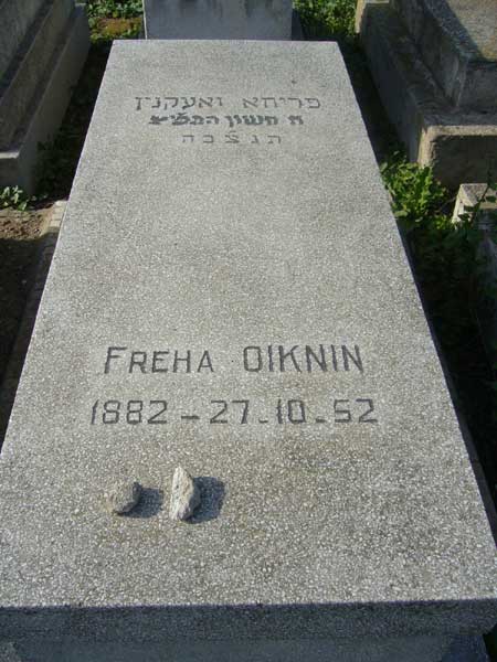 Stèle de OIKNIN Freha