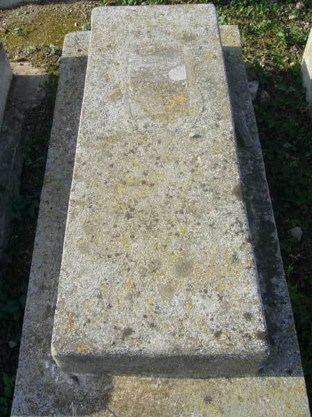 מצבת AMAR