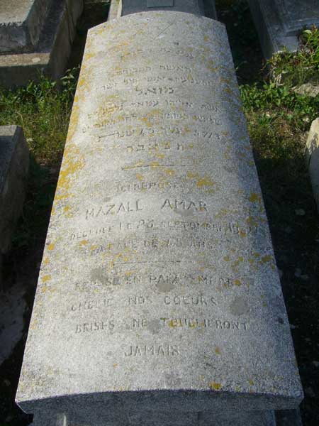 Estela de AMAR Mazall