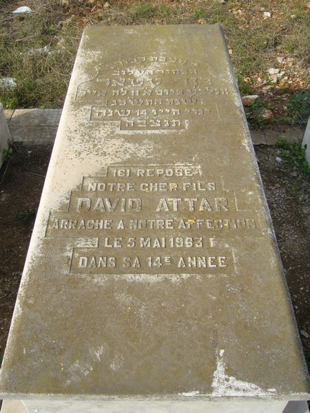 מַצֵּבה פון ATTAR David
