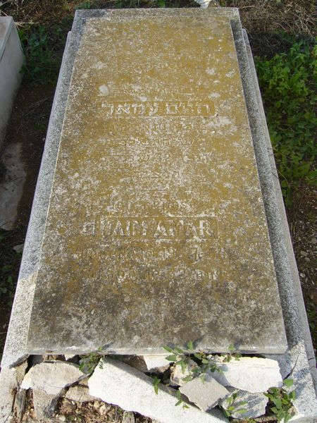 מצבת AMAR Haim