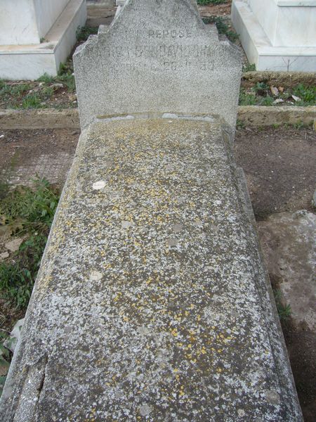 מצבת BENDAVID OHAYON Habibi