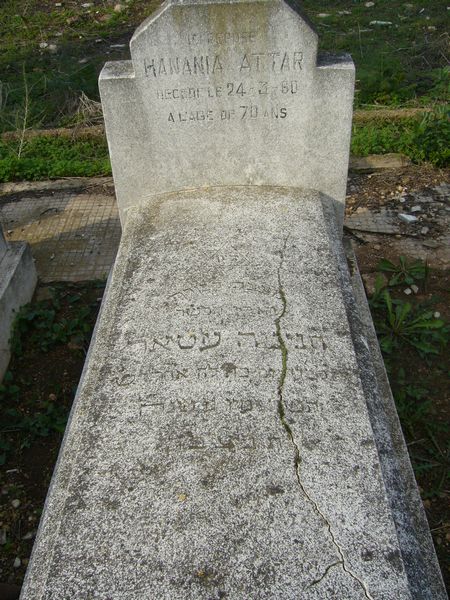 Estela de ATTAR Hanania