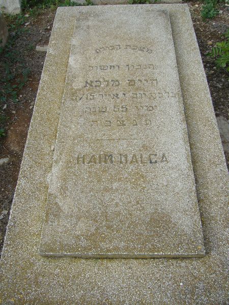 Grafsteen van MALCA Haim