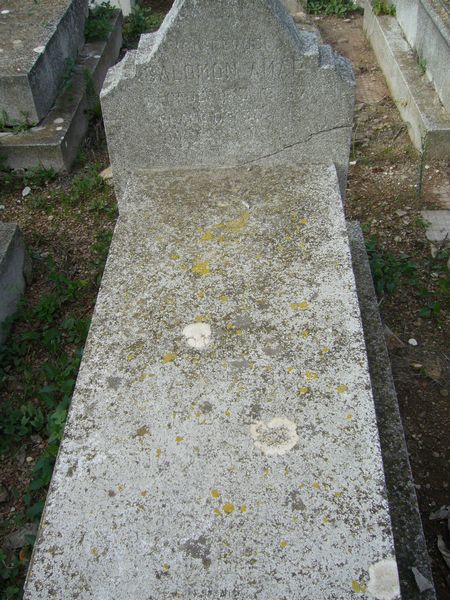 מַצֵּבה פון AMAR Salomon