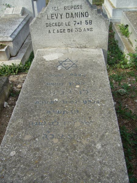 Grabstein von DANINO Levy
