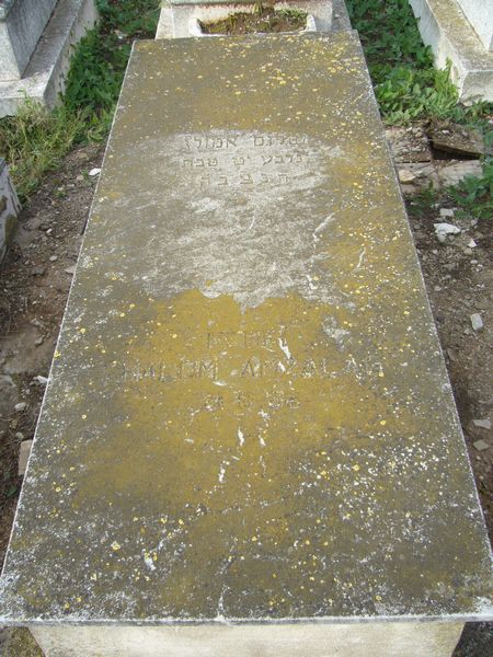 Estela de AMZALLAG Chalom