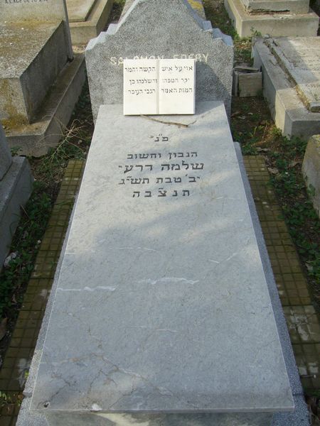 Estela de EDERY Salomon