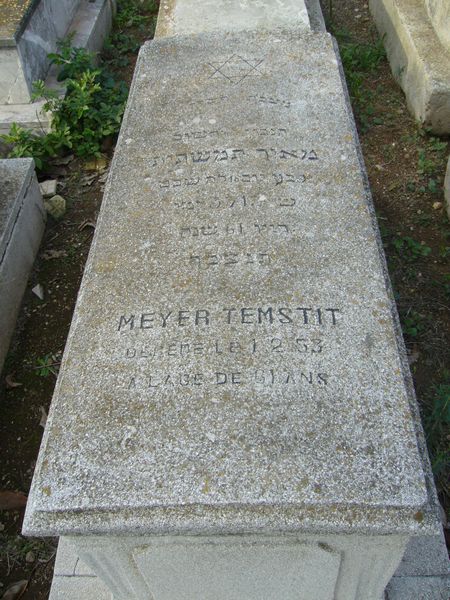 Grabstein von TEMSTIT Meyer