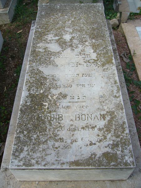 Grabstein von BONAN Habib