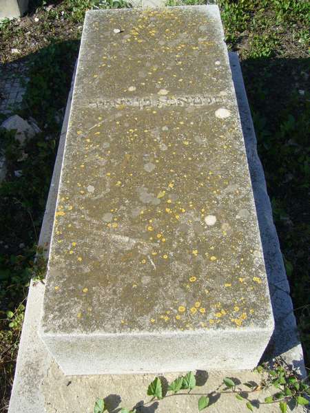 Grabstein von BENAYER Sultanna