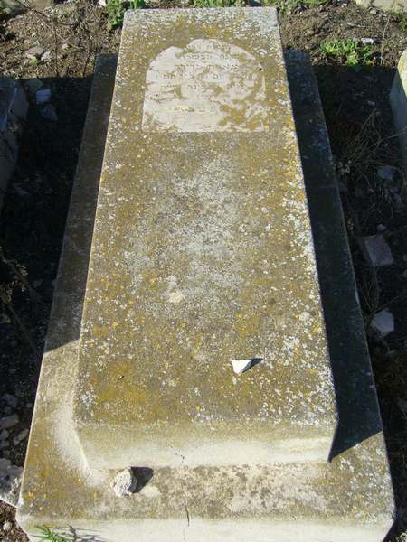 מצבת FEDIDA Sarah