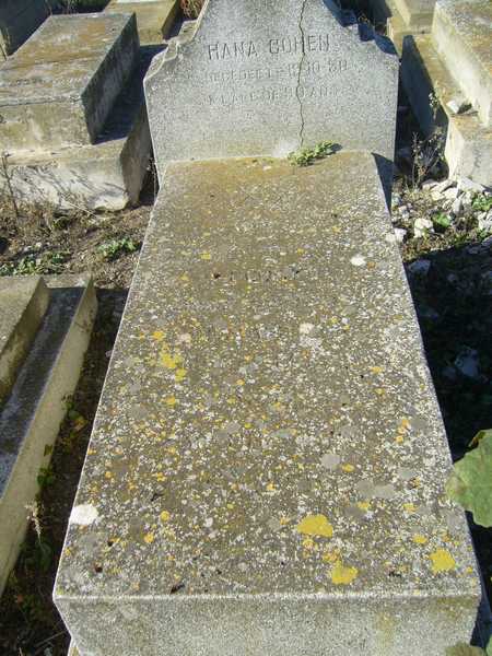 Grabstein von COHEN Hanna