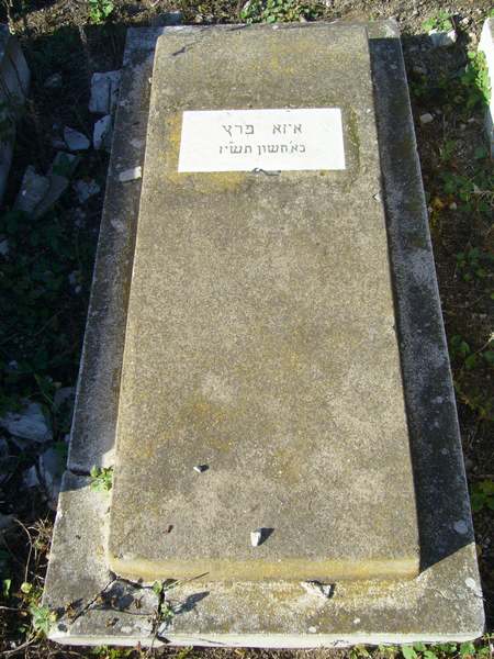 Grafsteen van PEREZ Izza