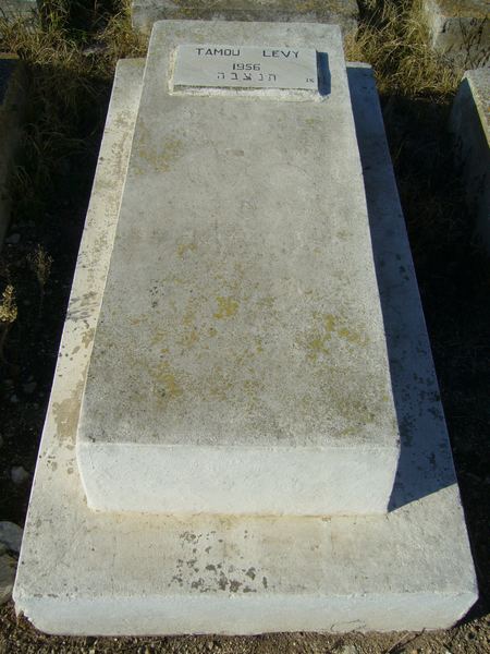 Tombstone of LEVY Tamou