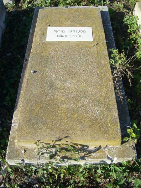 Tombstone of MOYAL Messoda