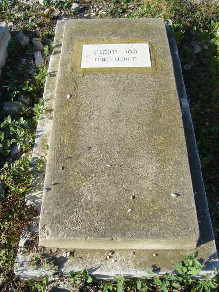 Tombstone of OIKNINE Tamou