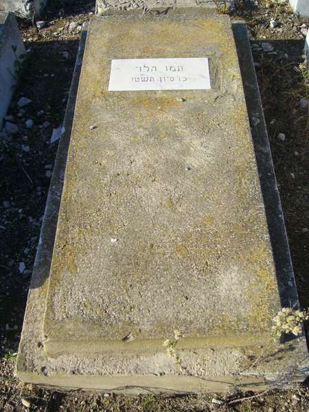 Stèle de LEVY Tamou