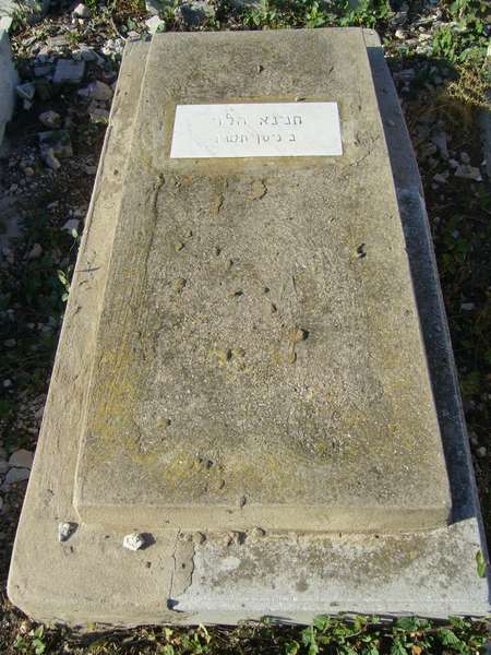 Tombstone of LEVY Hnina