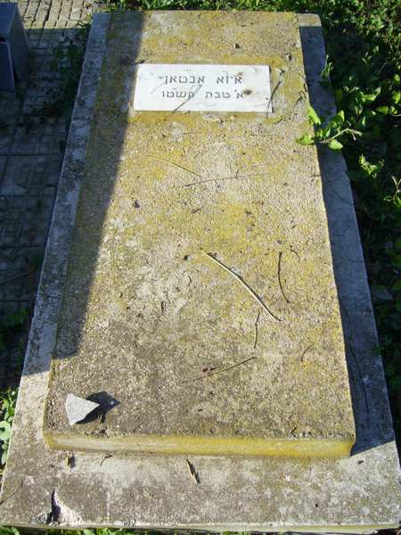 Tombstone of ABITTAN Izza