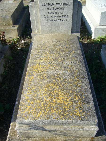 Tombstone of WAKNINE Esther