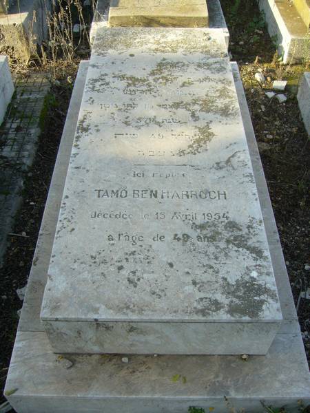 Grabstein von BENHARROCH Tamo
