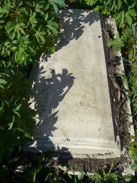 Tombstone of AMAR Mira