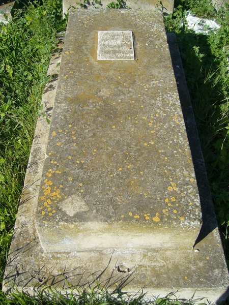 Estela de COHEN Halia