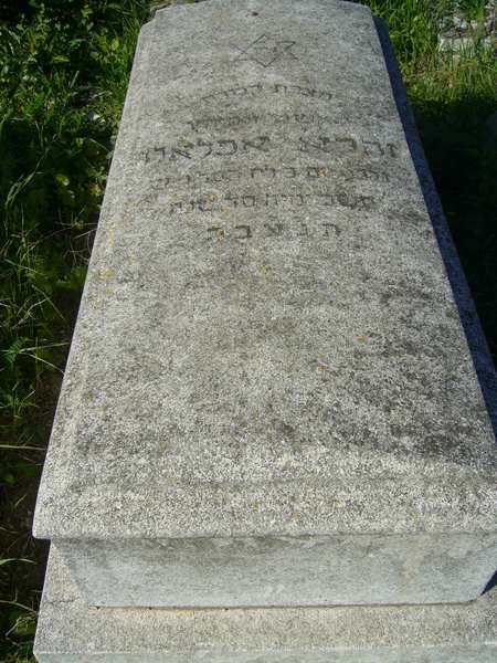 מצבת AFLALO Zohra