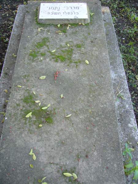 Stèle de NAHMANY Mardoche