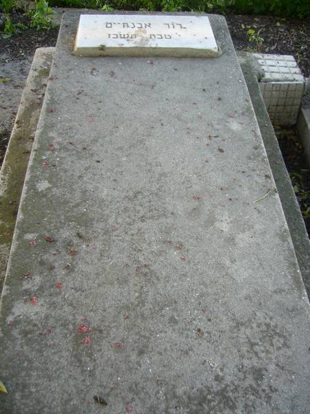 Grafsteen van ABENAIM David