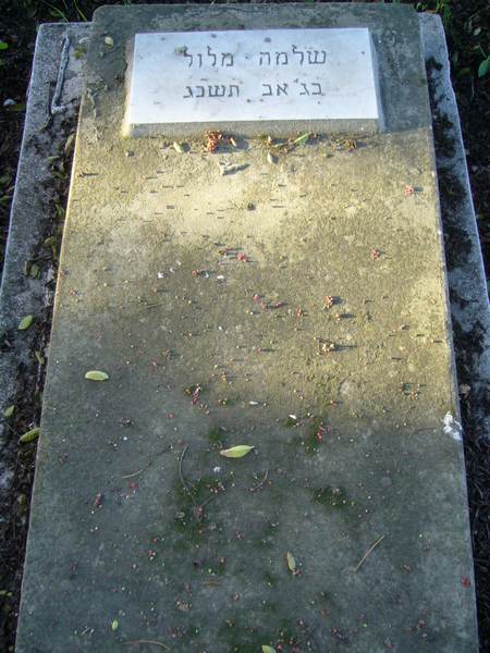 Tombstone of MELLUL Salomon