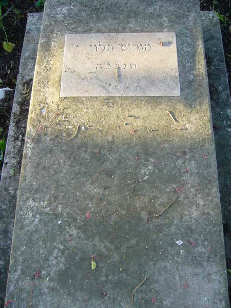 Tombstone of LEVY Maurice
