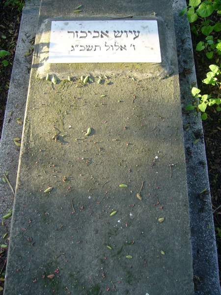 Estela de ABIKHZER Iyouch
