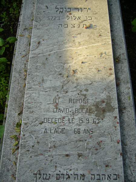 Grabstein von BOCAL David
