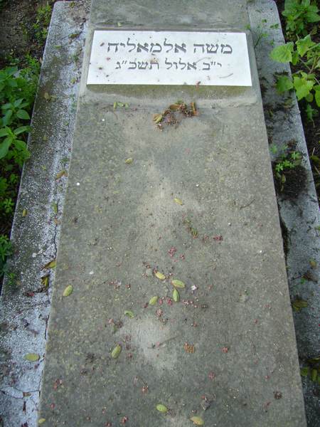 Grafsteen van ELMALEH Moshe