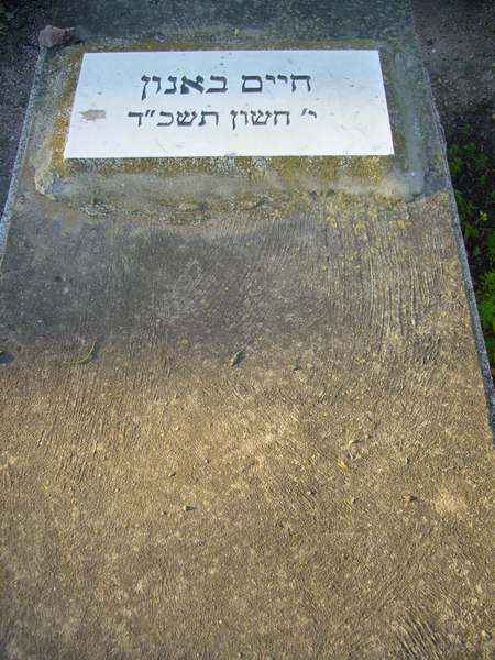Grabstein von BANOUN Haim