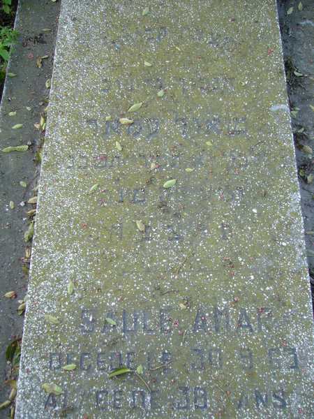 Estela de AMAR Saule