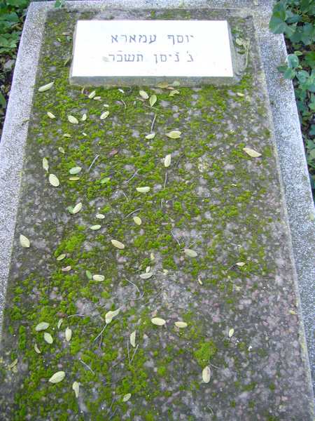 Grafsteen van AMARA Joseph