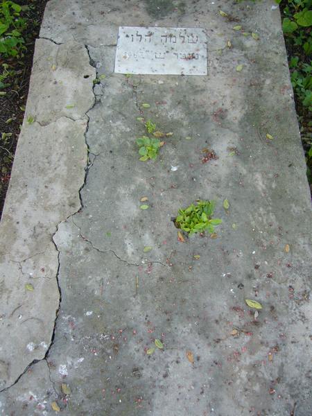 Stèle de LEVY Salomon