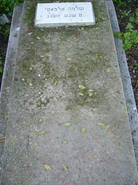 Estela de ELFASSY Salomon