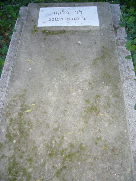 Tombstone of MALKA Levy