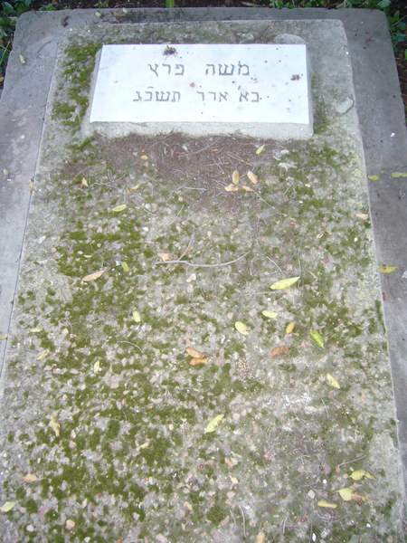 PEREZ Moshe 的墓碑